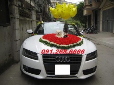 Cho thuê xe cưới Mui trần audi A4 màu trắng giá tốt nhất tại Tây tựu quận bắc từ liêm hà nội - 0912686666